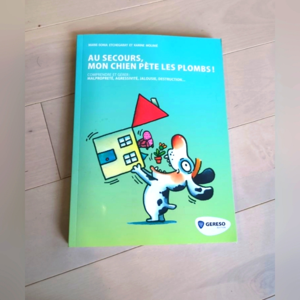 💥5/20$ French guide